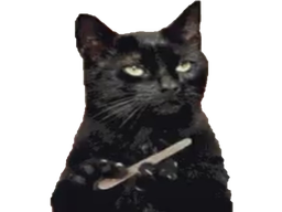 :chat_ongles: