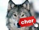 :Loupcher: