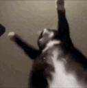 :bouge_ton_boule: