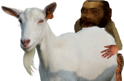 :Bougnoule_fuck_goat:
