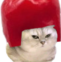 :Chat_piment_2: