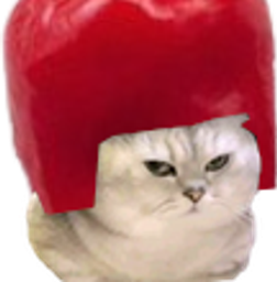 :Chat_piment_2: