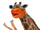 :GiraffeZinzin: