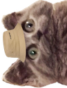 :ChatbobG: