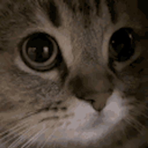 277