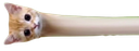 :longcou: