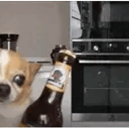 :marloudog_g: