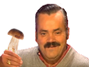 :nutrinazi_champignon_risitas_legume: