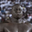 Photo de profil de FatouEXTERMINE