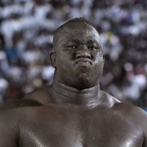 FatouEXTERMINE