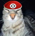 :lechatdechoah: