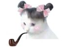 :pipe_chat:
