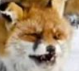 :ronare: