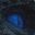 Photo de profil de Laverited