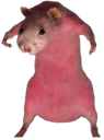 :Come_at_me_bro: