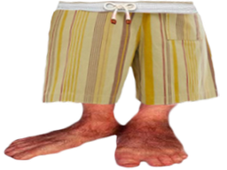 :grospieds: