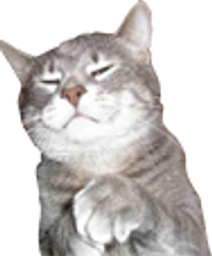 :ChatSnob: