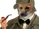 :tonyholmes: