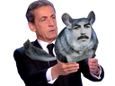 :sarko_chinchilla: