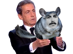 :sarko_chinchilla: