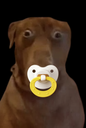 :tedditetine: