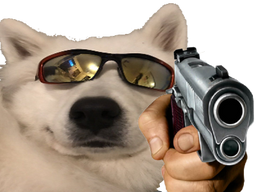 :chien_lunettes_flingue: