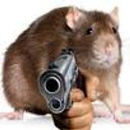 :rat_flingue: