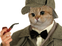 :sodium_sherlock: