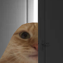 ChatMeprisant
