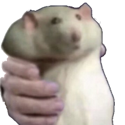 :Ratto: