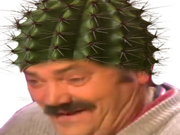 :Risicactus: