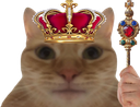 :chat_roi:
