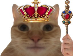 :chat_roi: