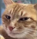 :chat_smile: