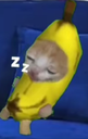 :dodoZz: