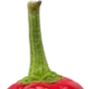 :Chat_piment_1: