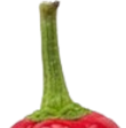 :Chat_piment_1:
