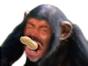 :Singe_cacahuete:
