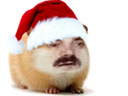 :hamster_noel: