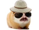 :hamster_chapeau_lunettes: