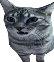 :cs_degout: