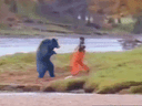 :ninja_vs_ours: