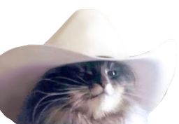 :Chat_cowboy2: