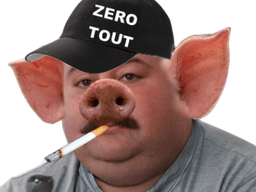 :Baptiste_porc: