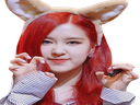 :rosetiger: