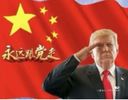 :Trump_pcc: