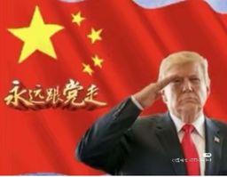 :Trump_pcc: