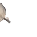 :phoque_boing: