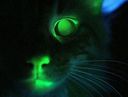 :chat_glow_: