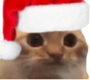 :chat_limite_noel_sansbg: